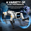 Smart Robot Dog – Interactive RC Walking Robot with Music & Lights